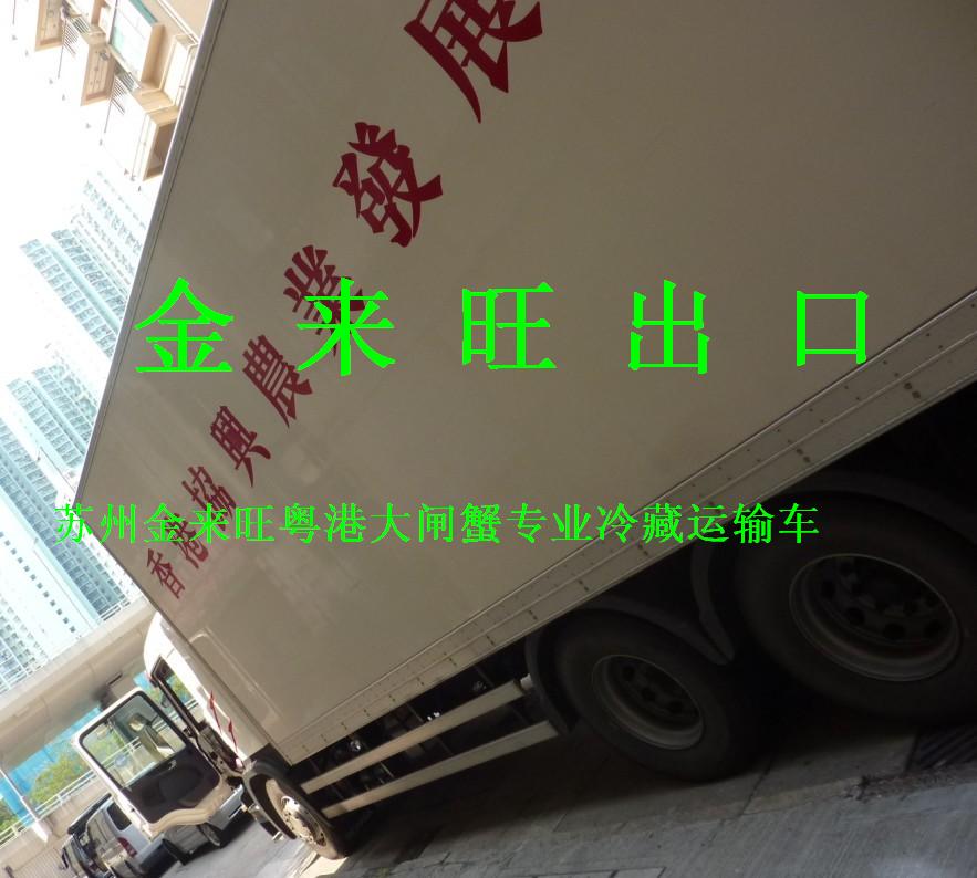 金來旺粵港冷藏車為中國大閘蟹走出國門而努力