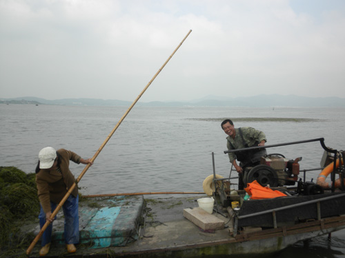 国际高标准对苏州阳澄湖大闸蟹出口的影响及对策