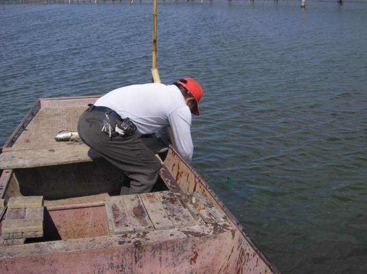 国际高标准对苏州阳澄湖大闸蟹出口的影响及对策